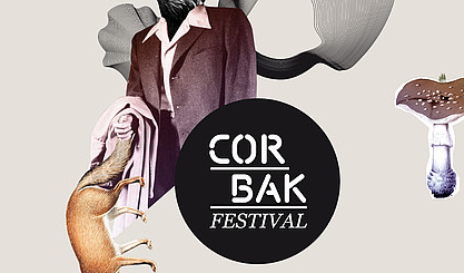 Film du Corbak 2011
